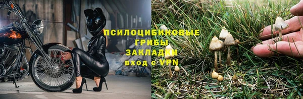спиды Приозерск