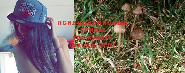 индика Протвино