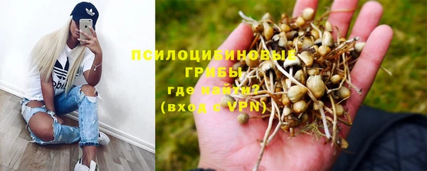 2c-b Заречный