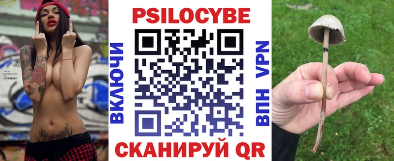 купить закладку  нарко площадка Telegram  Псилоцибиновые грибы Psilocybe  Пудож 